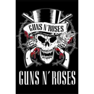 Guins N Roses 2 Premium Poster Pakistan