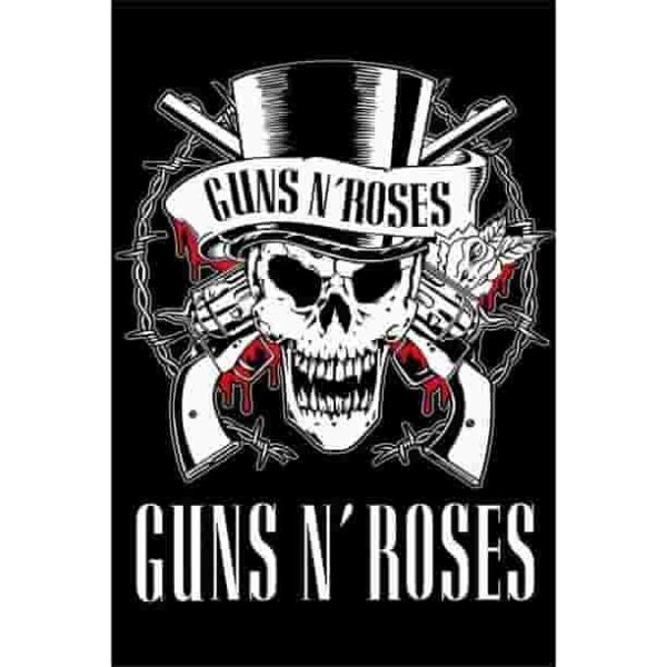 Guins N Roses 2 Premium Poster Pakistan