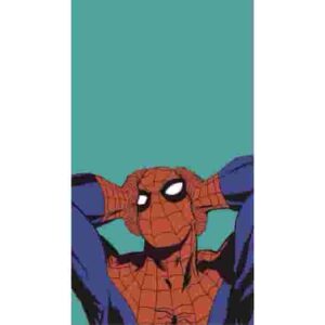 Spiderman OH NO Premium Poster Pakistan
