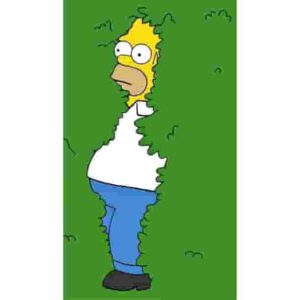 Homer in Bushes Premium Poster Pakistan
