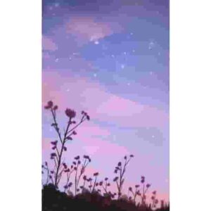 Flowers Aesthetic Premium Poster Pakistan