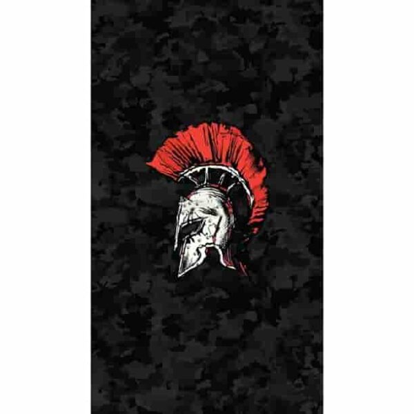Spartan Premium Quality Poster Pakistan