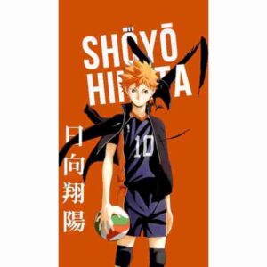 Shouyou Hinata Premium Wall Art Pakistan