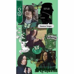 Slytherin House Harry Potter Premium Wall Art Pakistan