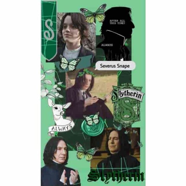 Slytherin House Harry Potter Premium Wall Art Pakistan