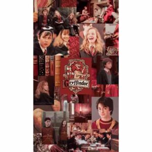 Gryffindor House Harry Potter Premium Wall Art Pakistan