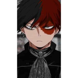 sShoto Todoroki